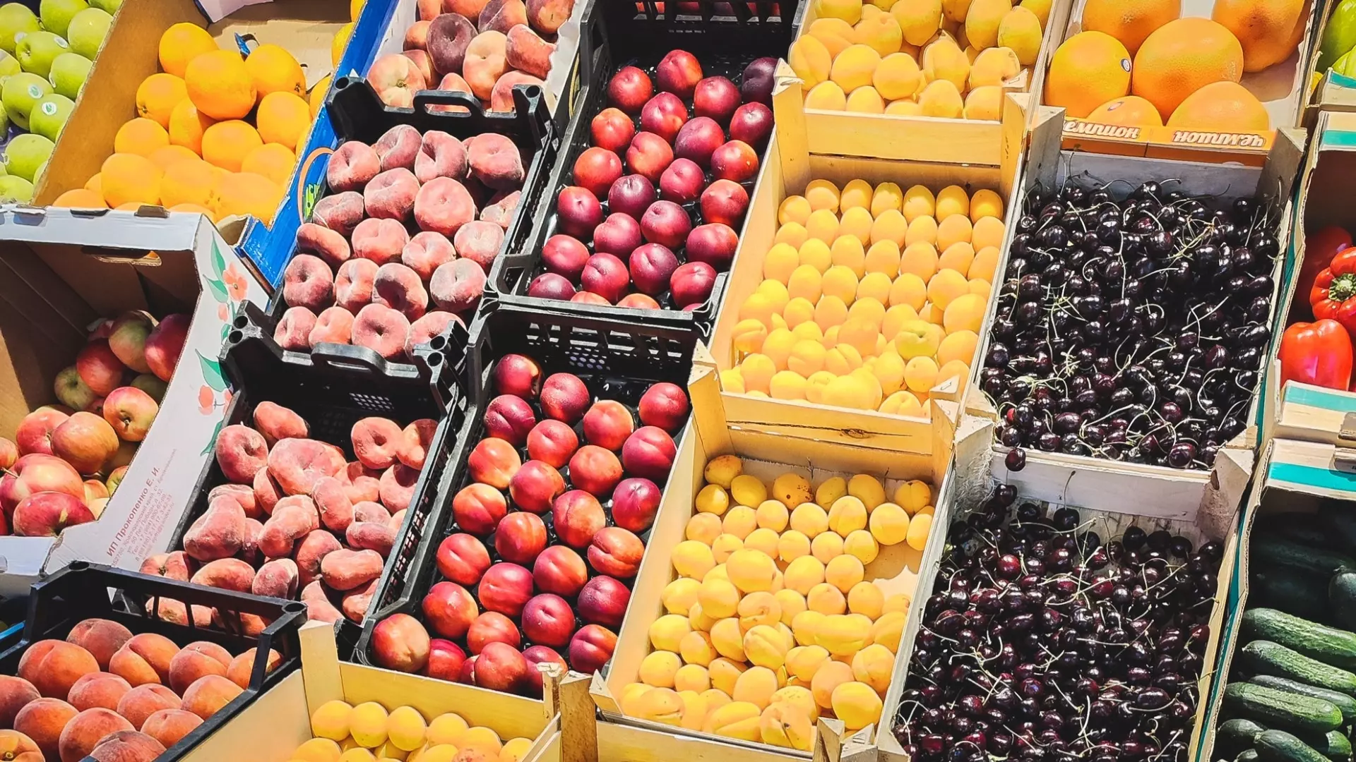 В Татарстане разница цен на сельхозярмарках и в магазинах достигает 30%