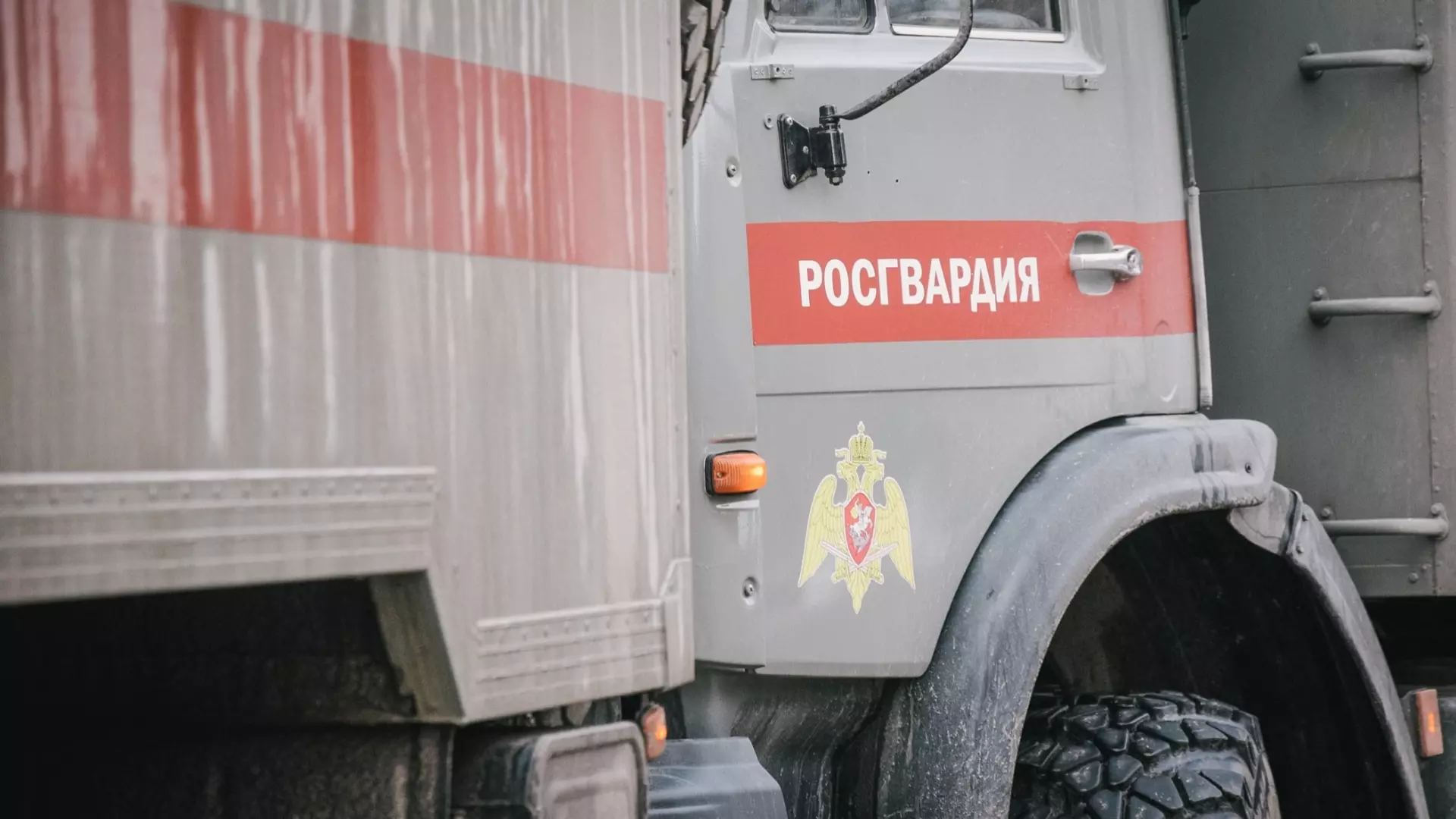 Правительство Татарстана следит за безопасностью после теракта в «Крокусе»
