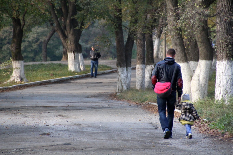 В Татарстане маткапитал получили более 500 отцов-одиночек