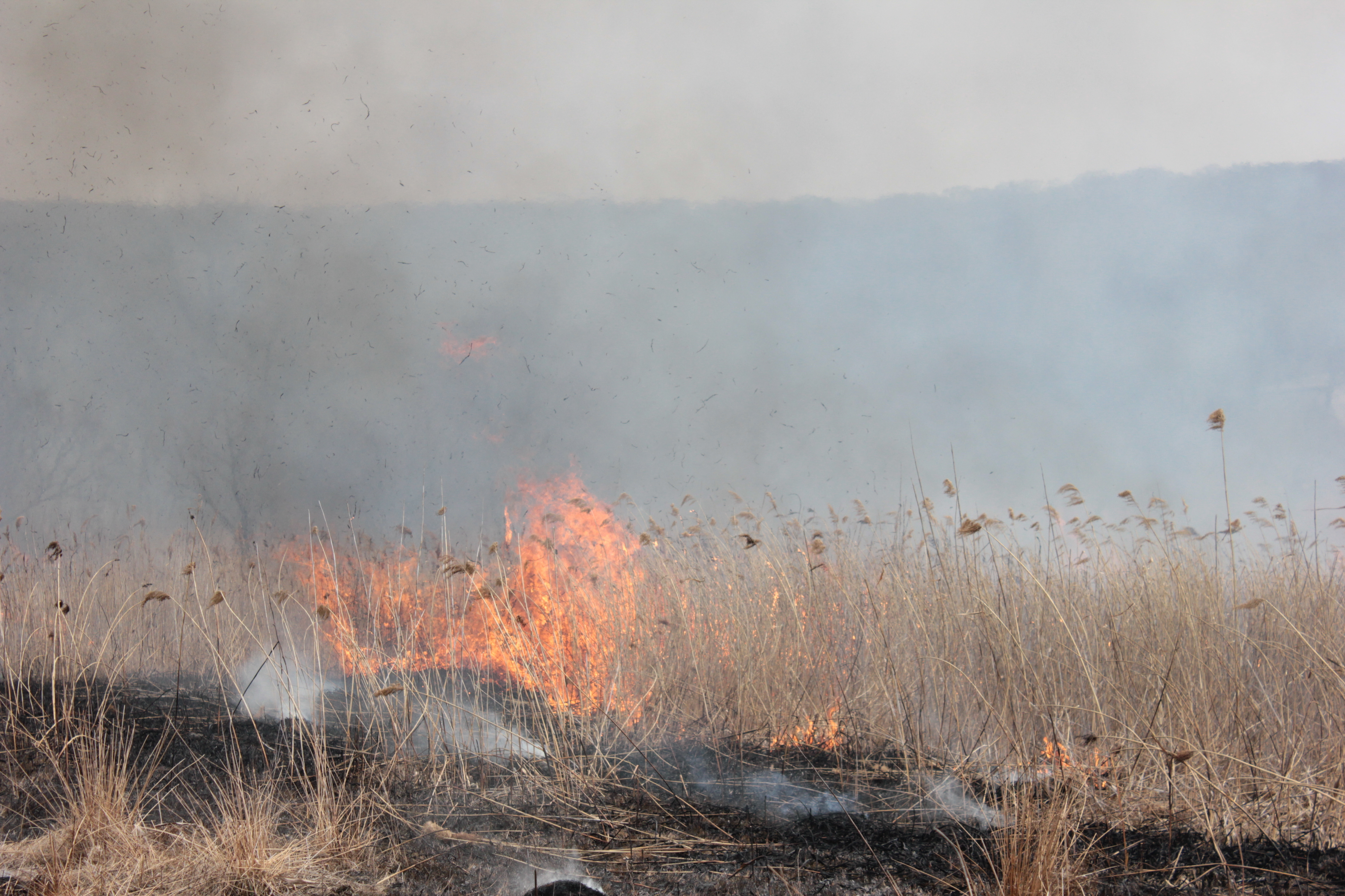 В Татарстане два человека погибли из-за возгорания сухой травы
