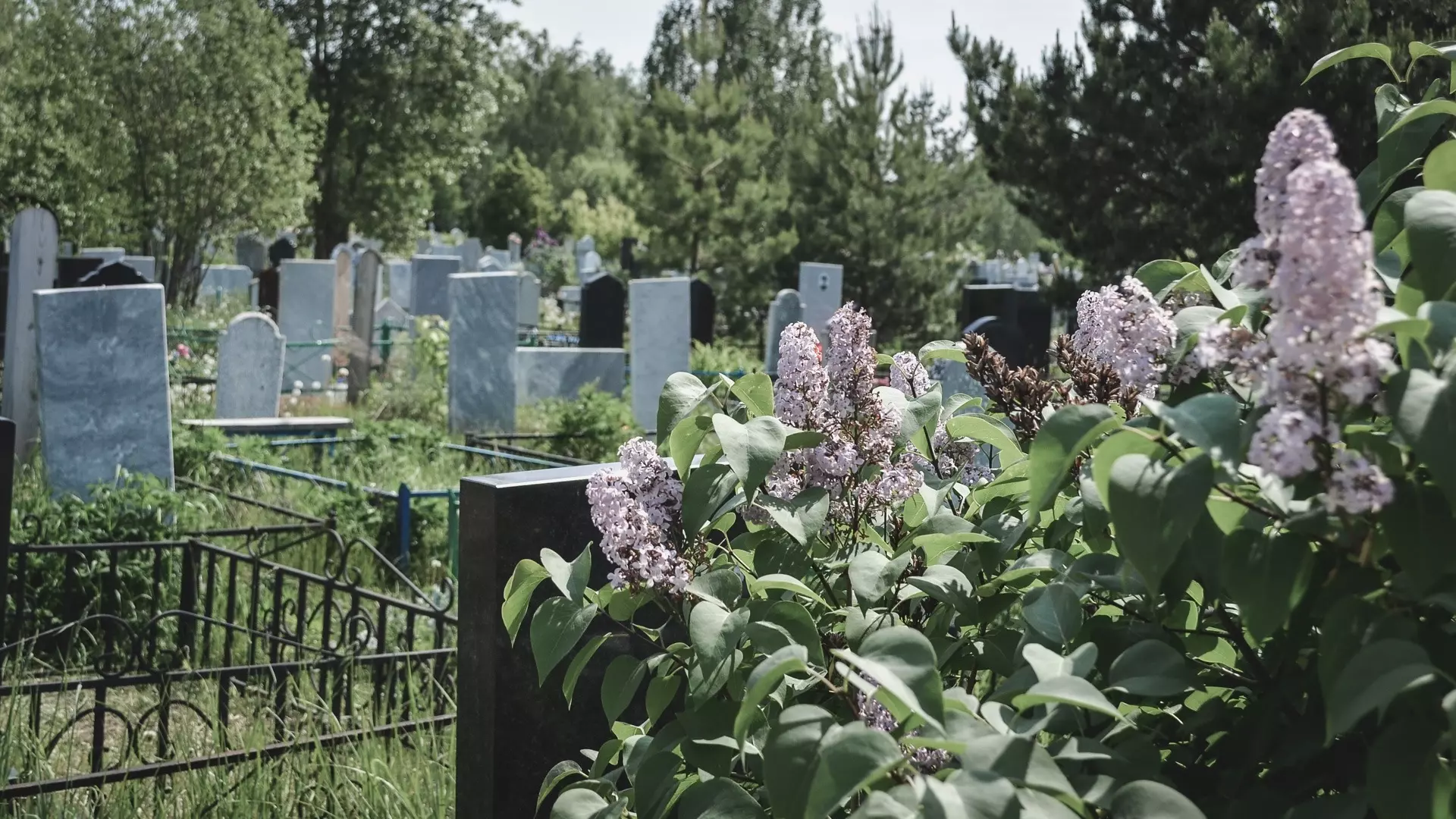 В Татарстане сократился объем ритуальных услуг