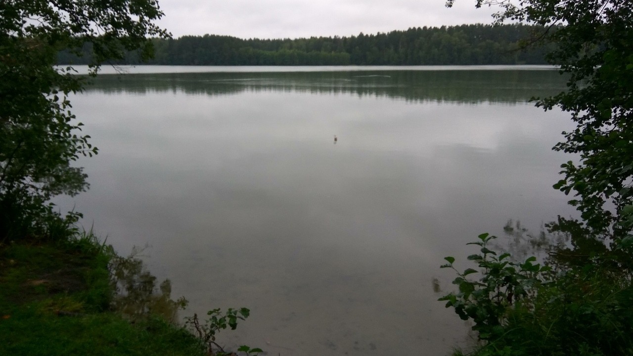 Власти отрицают загрязнения озера в Казани
